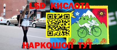 гидропоника Сланцы