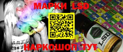 гидропоника Сланцы