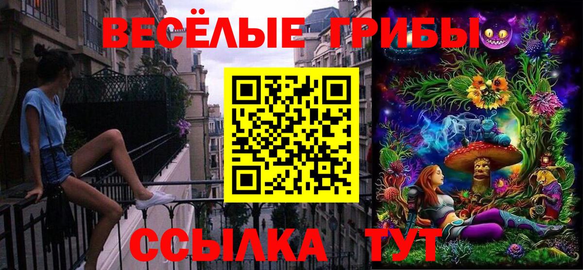 Москва  Псилоцибиновые грибы Psilocybine cubensis  Вход с VPN 